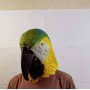 Маска попугая зеленая