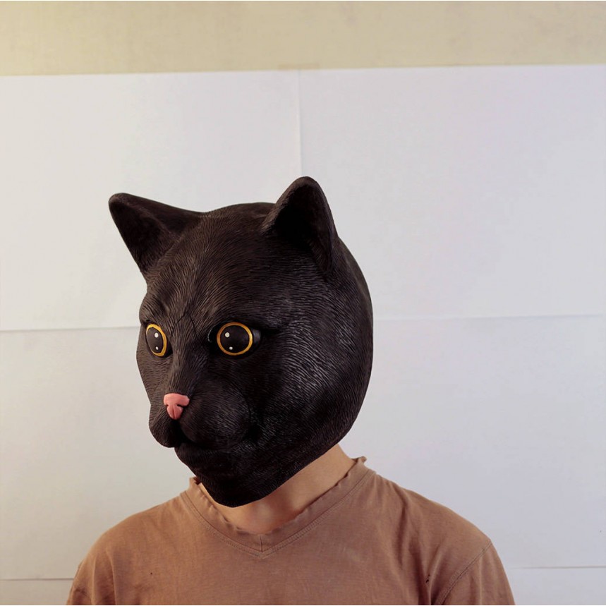 Выступление кота в маске. Маска кота. Реалистичная маска кота. Кошачья голова маска. Маска для пугания кота.