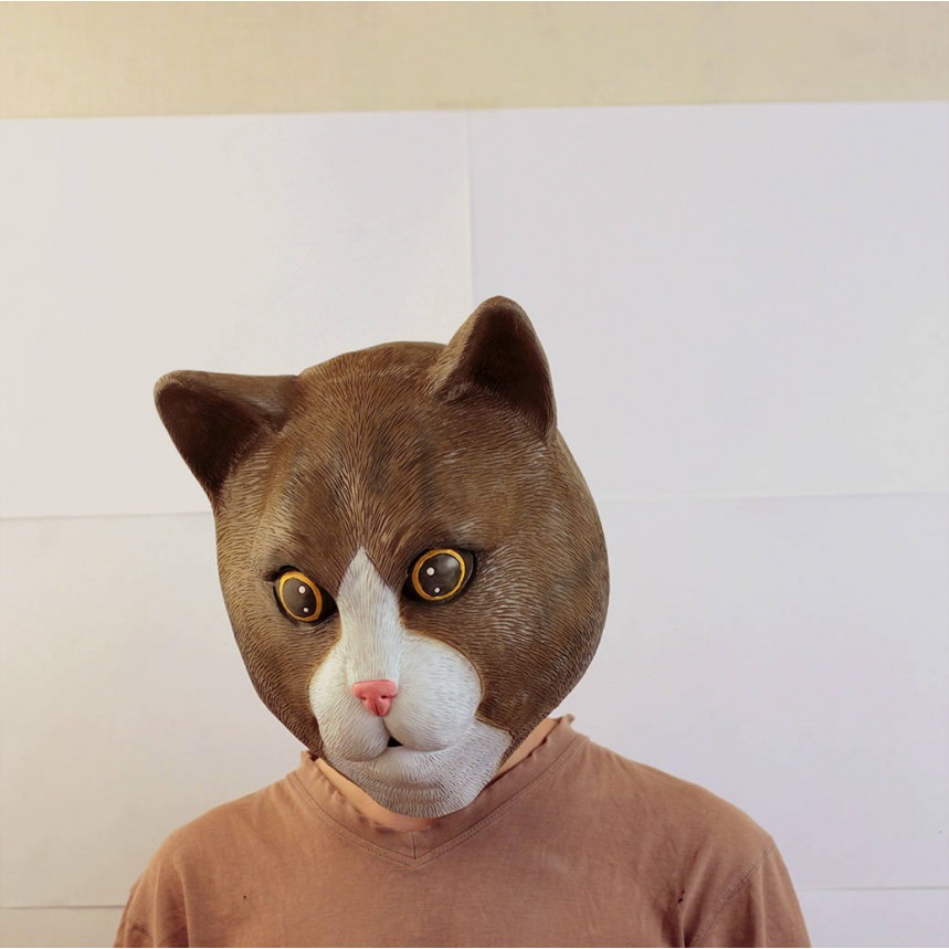 Выступление кота в маске. Маска кота. Реалистичная маска кошки. Маска голова кота реалистичная. Маска кота из латекса.